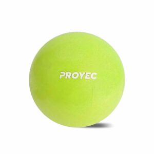 PELOTA ESFERODINAMIA SUIZA 25 CM PROYEC